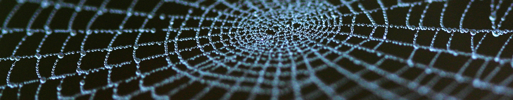 comunicazione-web