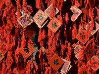 cina